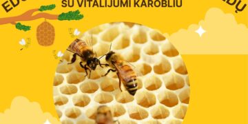 Edukacija „Apie bites ir apie medų“ su edukatoriumi, bičių ūkio savininku Vitalijumi Karobliu
