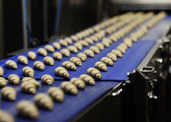 Nuo Marijampolės iki Amsterdamo: „Mantinga“ plečiasi į Vakarų Europą