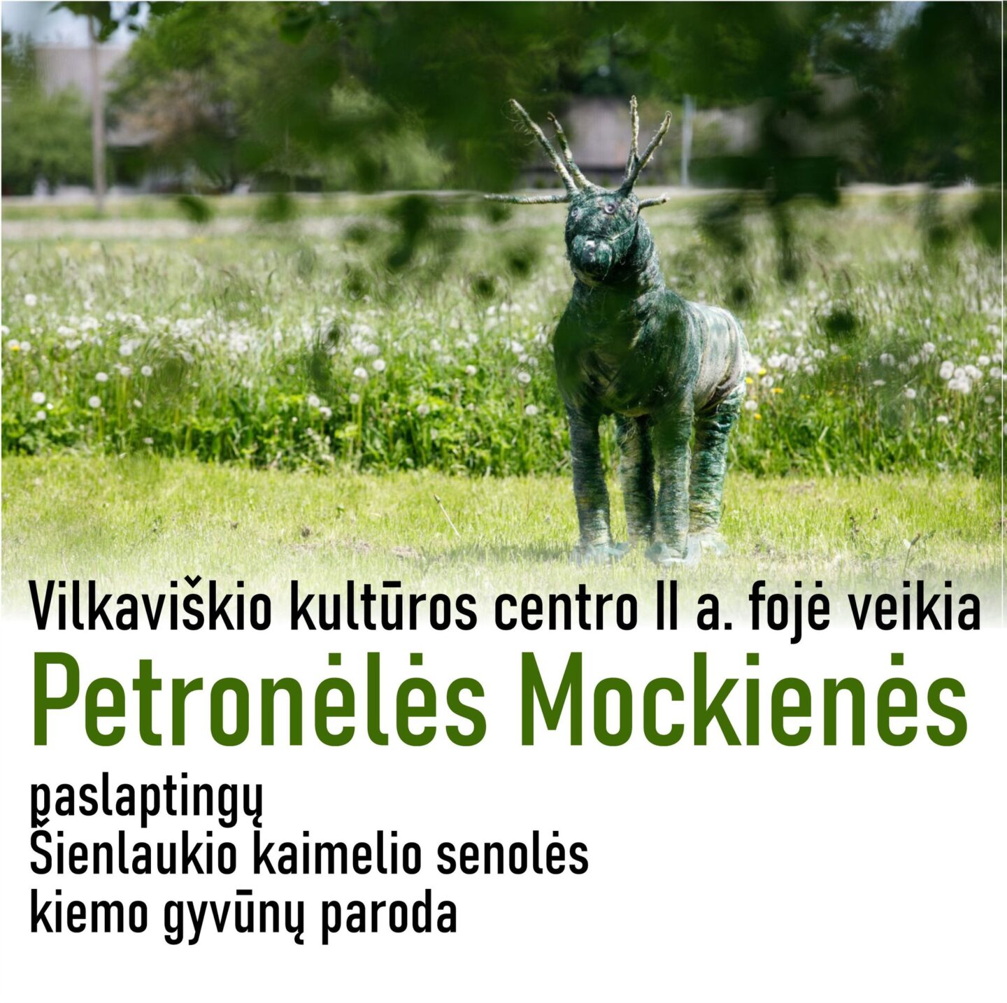 Petronėlės Mockienės paslaptingų Šienlaukio kaimelio senolės kiemo gyvūnų paroda