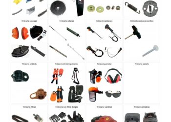 Kolagenas: kas tai ir kodėl jis svarbus?