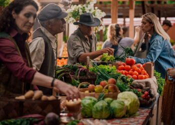 Strateginio plano įgyvendinimas: Stebėsenos komitetas siūlo pakeitimus