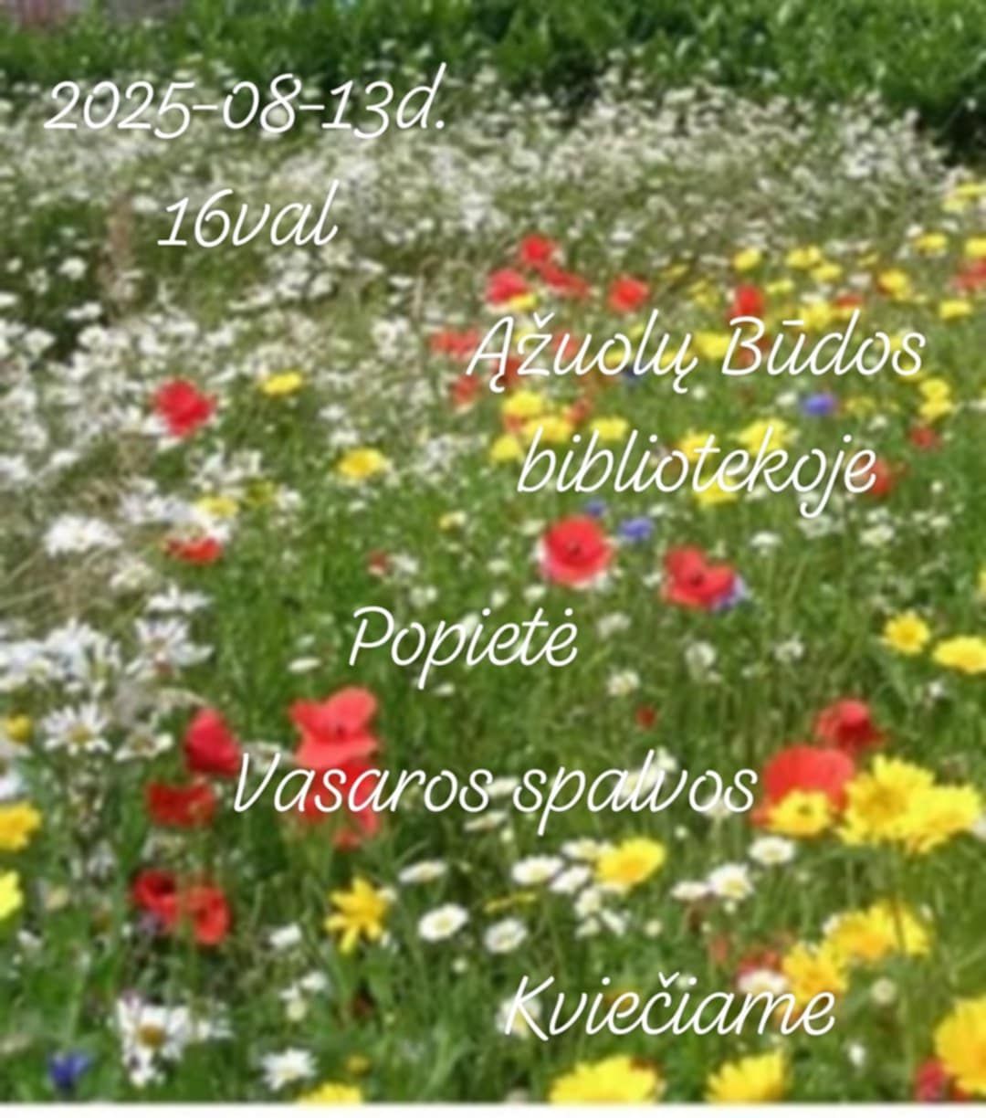 Teminė popietė „Vasaros spalvos“