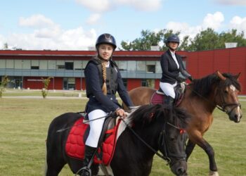 Vilkaviškyje surengta Žirgų sporto šventė