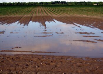 Dėl ilgo lietingo laikotarpio Vyriausybė paskelbė valstybės lygio ekstremaliąją situaciją