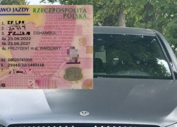 Įvertino iš Rusijos važiavusio vokiečio vairuotojo pažymėjimą - jis buvo netikras