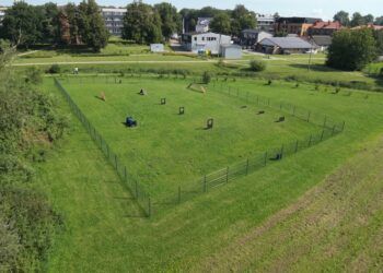 Šakiuose - saugi ir smagi vieta augintiniams