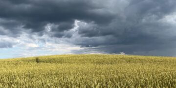 Žemės ūkio ministerija siūlo skelbti valstybės lygio ekstremaliąją situaciją