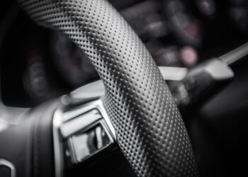 Kokie sodinukai atspariausi Lietuvos klimato sąlygoms?