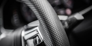 Kokie sodinukai atspariausi Lietuvos klimato sąlygoms?