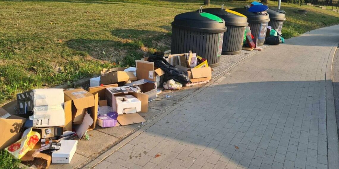 Netvarka prie konteinerių