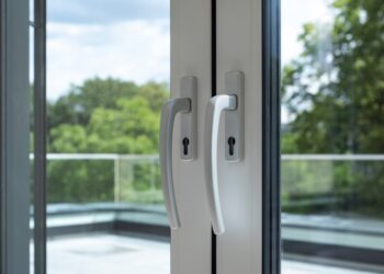 Kokie sodinukai atspariausi Lietuvos klimato sąlygoms?