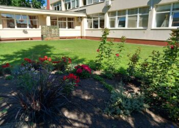 Kalvarijos savivaldybės švietimo įstaigos naujus mokslo metus pasitinka atsinaujinusios ir pasirengusios