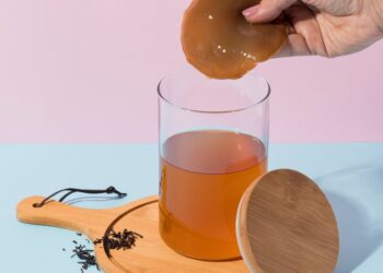 Kaip laikyti arbatos grybą ne fermentacijos metu?