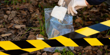 Kriminologinis tyrimas