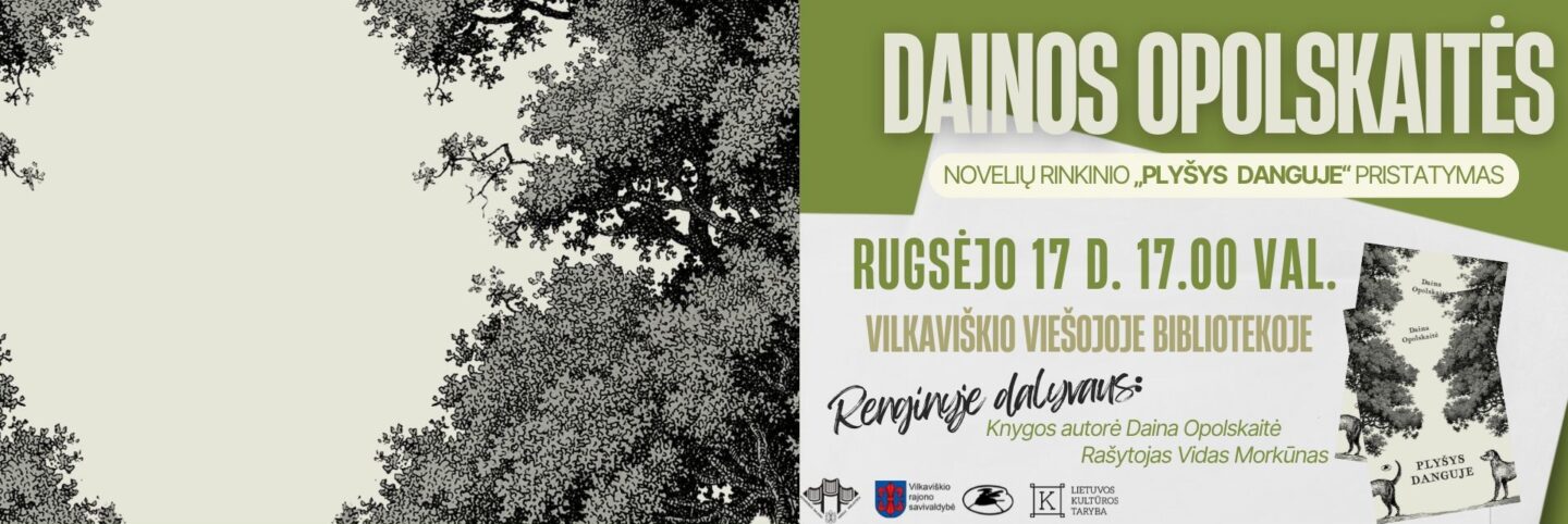 D. Opolskaitės novelių rinkinio „Plyšys danguje" pristatymas