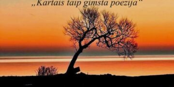 Janinos Kurtinaitienės kūrybos vakaras ir knygos „Pasiklydus naktyje“ pristatymas