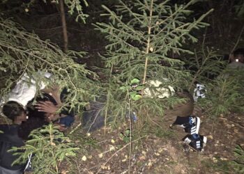 Miške netoli Lenkijos Kalvarijos pasieniečiai sulaikė šešis prieglobsčio „prašytojus“ iš Somalio