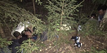 Miške netoli Lenkijos Kalvarijos pasieniečiai sulaikė šešis prieglobsčio „prašytojus“ iš Somalio