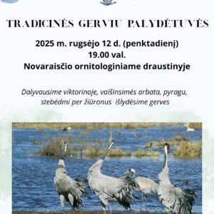 Tradicinės gervių palydėtuvės