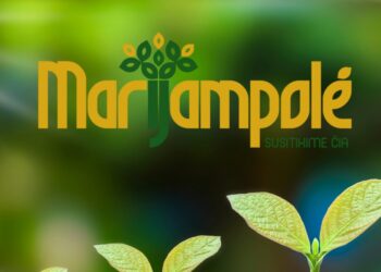 „Savivaldos gyvybė 2025“ – žmonėms, kurie kuria mūsų kraštą