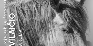 Garsiausio Lietuvoje arklių fotografo Stasio Povilaičio fotografijų paroda „Arklių portretai"