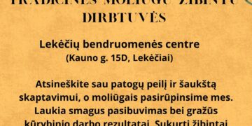 Edukacinės moliūgų žibintų dirbtuvės