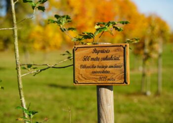 Pasodintas simbolinis ąžuolas Paprūsės 500-mečiui paminėti