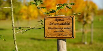 Pasodintas simbolinis ąžuolas Paprūsės 500-mečiui paminėti