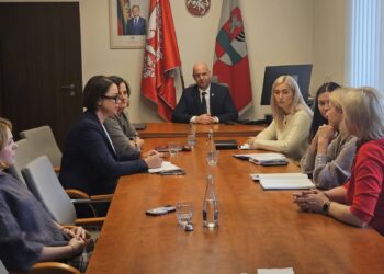 Aptartos Šakių socialinių paslaugų centro veiklos ir jų tobulinimo galimybės