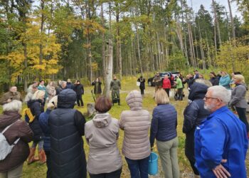 Atsodinamas Gelgaudiškio miškas