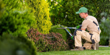 Aplinkos tvarkymo paslaugų vertinimas Marijampolės savivaldybėje