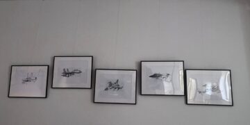 Edgaro Lajaus paroda „Reikėjo berniukams, padangių žydrų”