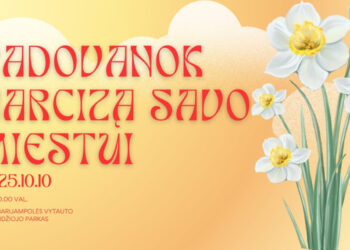 Jau šį penktadienį – akcija „Padovanok narcizą savo miestui“