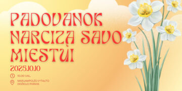 Jau šį penktadienį – akcija „Padovanok narcizą savo miestui“
