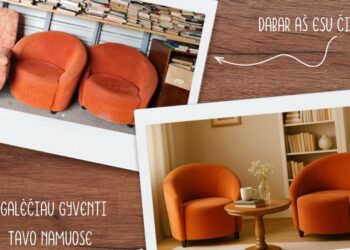 Leisk daiktams gyventi toliau – dalindamiesi kuriame tvarkingesnę ir draugiškesnę aplinką