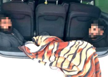 Šrilankietis į Vokietiją gabeno du prieglobsčio Lietuvoje „prašytojus“