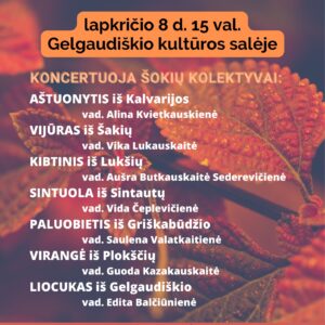 ŠOKIŲ DIENOS RENGINYS „ZANAVYKŲ RABAKSAS“