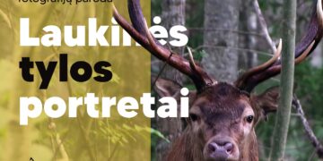 FOTOGRAFIJŲ PARODA „LAUKINĖS TYLOS PORTRETAI“