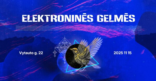 Festivalis ELEKTRONINĖS GELMĖS '²