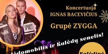 KALĖDINĖS EGLUTĖS ĮŽIEBIMO ŠVENTĖ Gelgaudiškyje