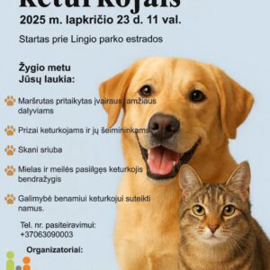 Žygis su keturkojais