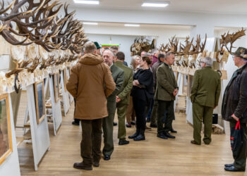 Marijampolėje – Šv. Huberto šventė ir įspūdinga medžioklės trofėjų paroda