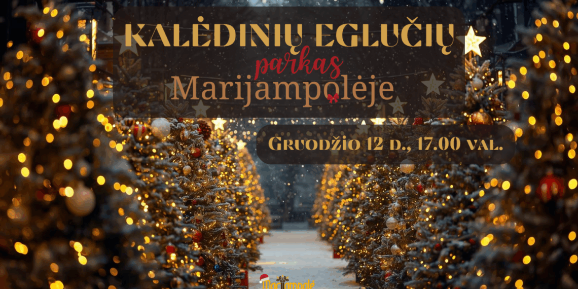 Kurkime kalėdinių eglučių parką – Marijampolė šviečia Kalėdomis!