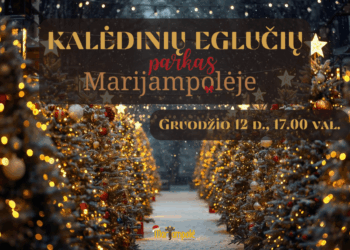 Kurkime kalėdinių eglučių parką – Marijampolė šviečia Kalėdomis!