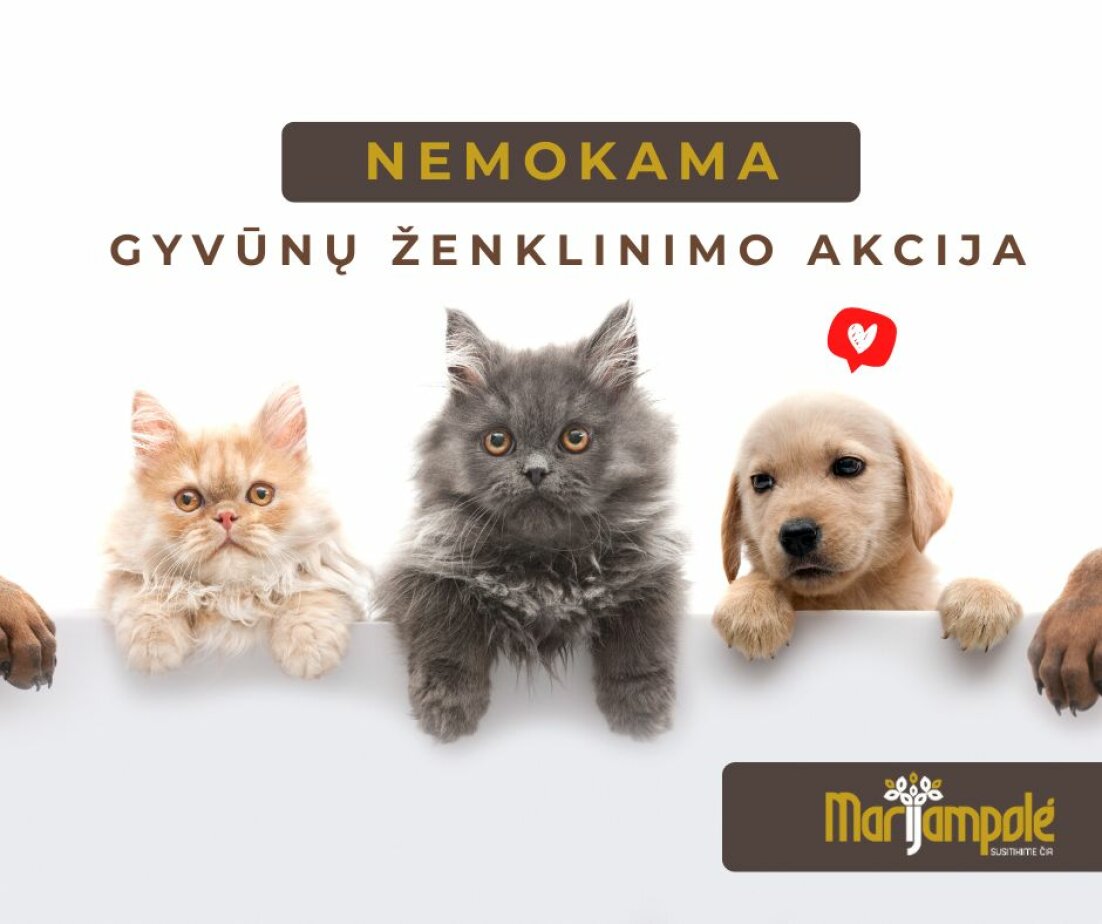 Marijampolėje - nemokama augintinių ženklinimo akcija 