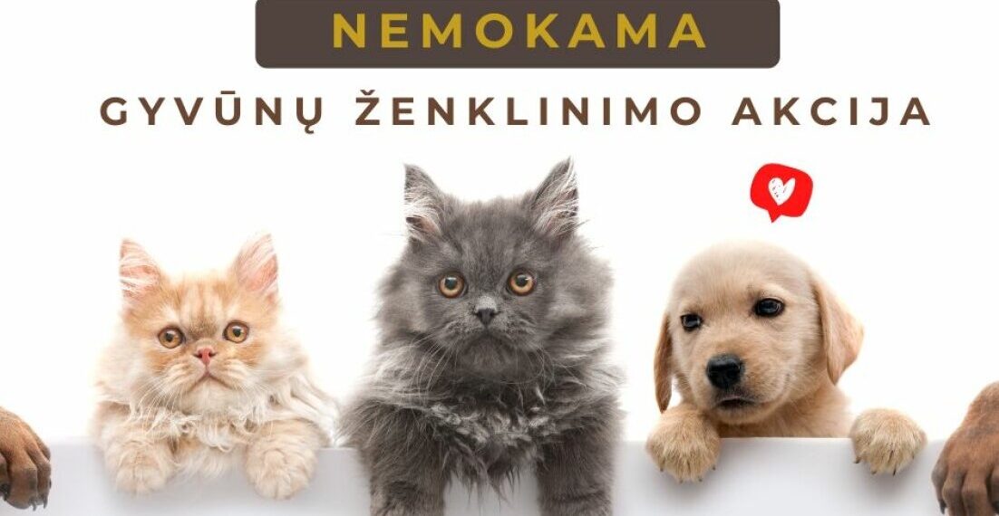 Marijampolėje - nemokama augintinių ženklinimo akcija