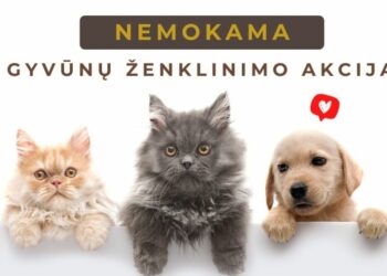Marijampolėje - nemokama augintinių ženklinimo akcija