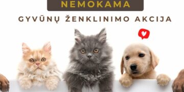 Marijampolėje - nemokama augintinių ženklinimo akcija