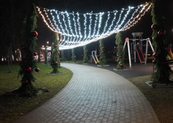 Vilkaviškio Miesto sode - tikra Kalėdinių eglučių pasaka