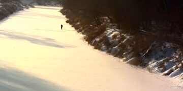 Šakių rajone pasieniečiai sulaikė nelegaliai dėl asmenukės sieną kirtusį asmenį